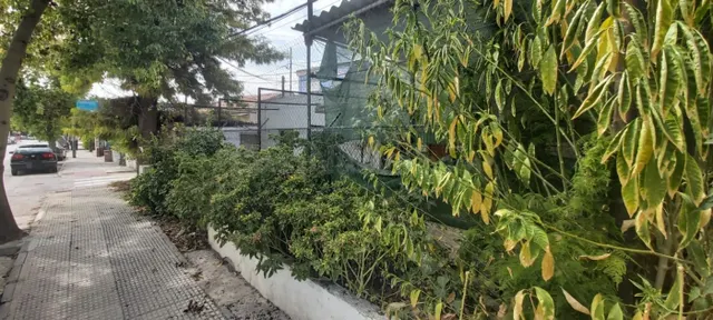 Casa 3 habitaciones 139m² en venta - San ginés centro - foto 3