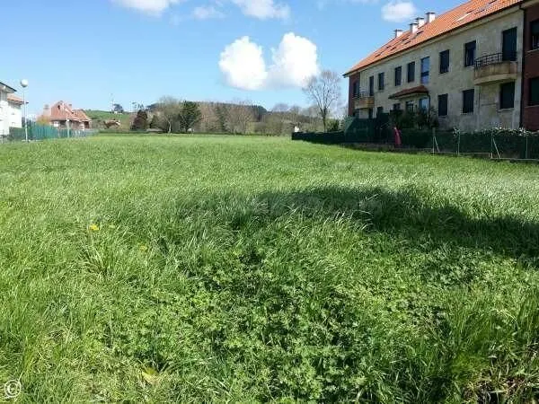 TERRENO URBANO EN MERUELO - foto 5