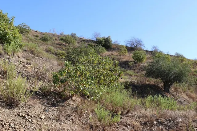 Parcela 60m² en venta - Alora pueblo — 4