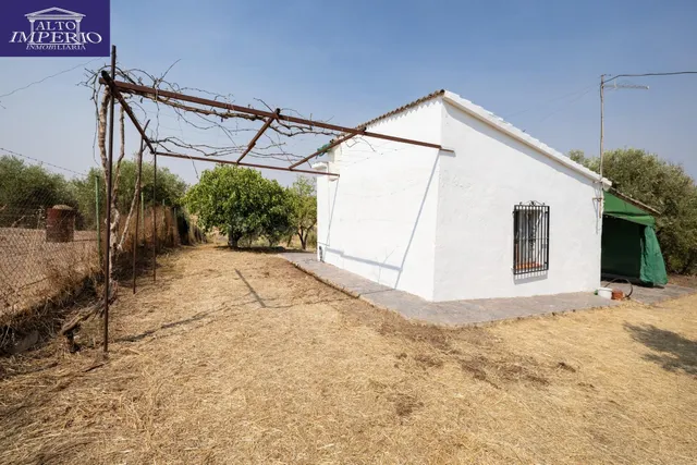 Encanto rústico con casita y olivos en Moraleja de Zafayona 🌿 — 4