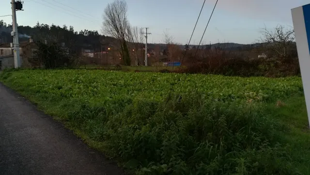 TERRENO Y EDIFICIO EN VENTA — 24