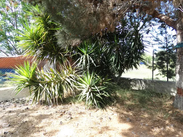 ++en la encantadora zona de El Paraje++ — 11