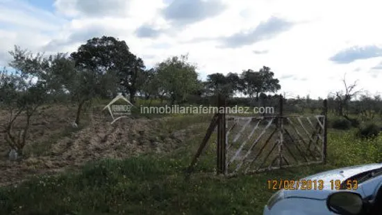 Se vende Parcela de 8.200 m2 vallado, en Arroyo de la Luz — 10