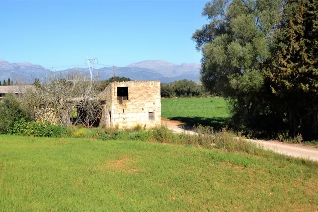 Finca con proyecto aprobado en Llubi - foto 3