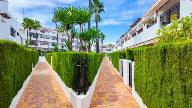 Apartamento 2 habitaciones 122m² en venta - Villamartín-Las Filipinas — 34