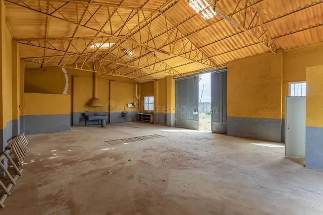ESTUPENDO SOLAR URBANO CON NAVE EN PEDRO MARTÍNEZ — 4