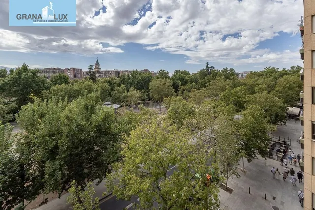 Pisazo en paseo del salón - Granada — 5