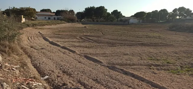 PARCELA EN VALVERDE — 17