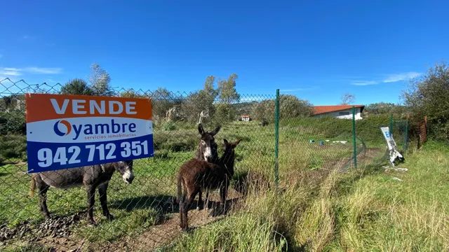 SE VENDE TERRENO URBANIZABLE EN PIELAGOS, RENEDO - foto 4