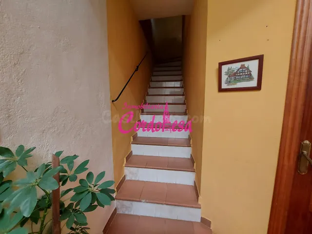 MAGNIFICA VIVIENDA DE 2 PLANTAS + AZOTEA EN ZONA EL POTRO/ S - foto 3