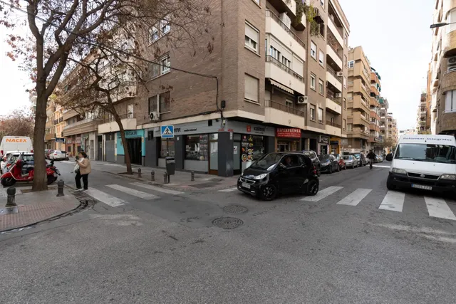 Amplio local comercial en una de las zonas más consolidadas de Granada con salida a dos calles — 29