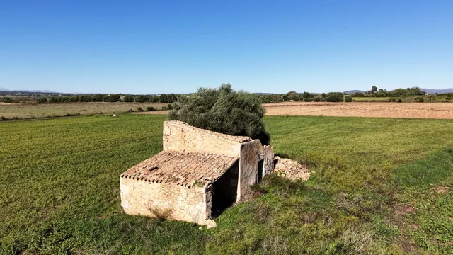 Finca rústica en Manacor con proyecto de ejecución — 4