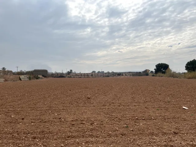 CAMPO PARA CULTIVO — 3