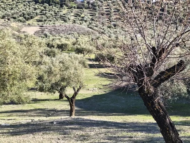 Terreno rural en venta - Sierra de huetor y la alfaguara — 10