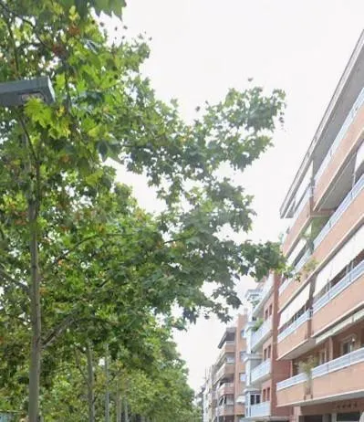 VENTA EN CONDICIONES ESPECIALES - MODALIDAD CESIÓN DE REMATE
