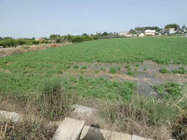 ++Terreno no urbano en Alguazas zona El Paraje++, 1513 m — 4