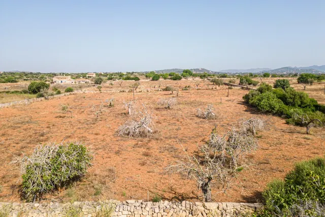 Finca rústica para construir en la carretera de s'Illot - Portocristo — 6