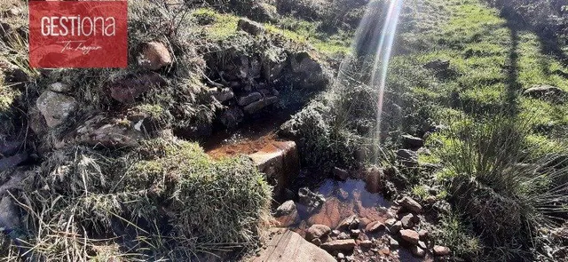 CABAÑA EN SAN PEDRO DEL ROMERAL. — 20