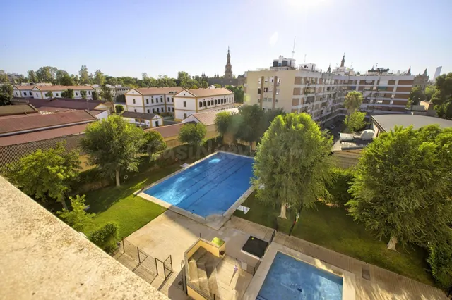 En la Sevilla que todos visitan, pero donde muy pocos pueden - foto 3