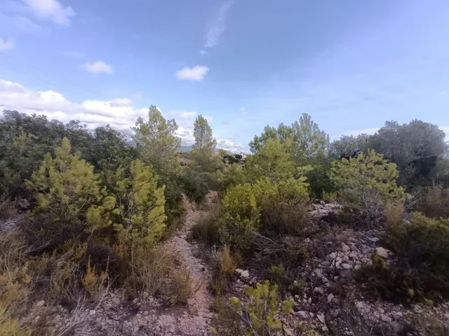 Finca Rústica en l'Ametlla de Mar: a Pocos Minutos del Mar — 11
