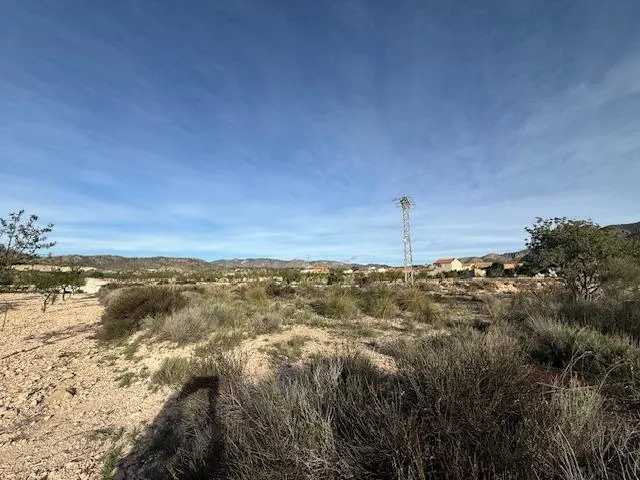 Venta  de terreno en Barinas (Abanilla) — 3