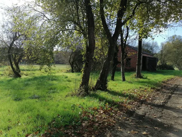 SE VENDE TERRENO CON ARBOLEDA Y UNA PEQUEÑA EDIFICACIÓN EN C - foto 4