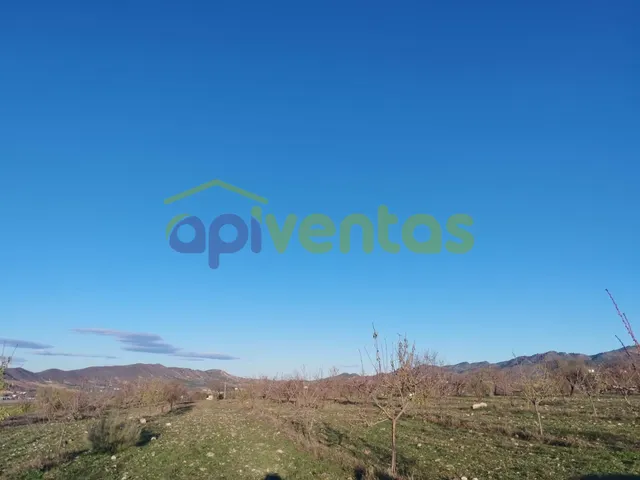 Casa de piedra con 61 hectáreas de terreno — 23