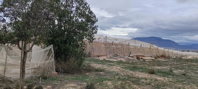 SE VENDE TERRENO A 20 MINUTOS DE ALICANTE CON AGUA Y CASA PARA REFORMAR — 3