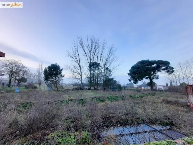 SE VENDE TERRENO RUSTICO EN TUDELA DE DUERO - foto 4