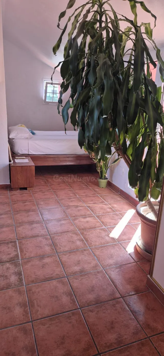 Chalet en el faro de punta carnero con piscina — 43