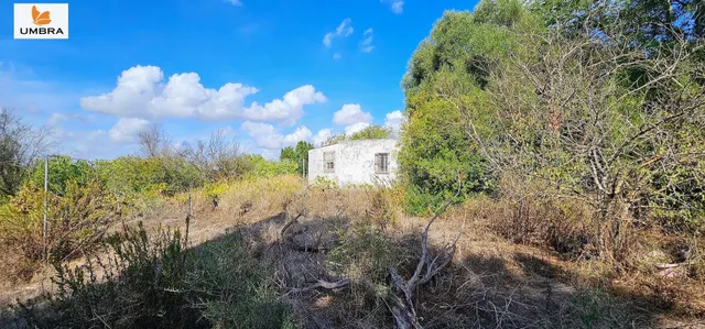 La Finca de los Sueños – Proyecto GARCIAGOS, 11.325 m2, Suel - foto 4