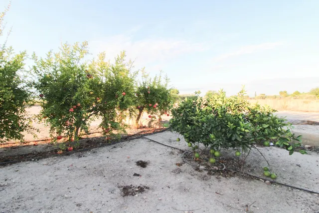 Casa de campo en parque natural, 315 m2 totalmente legalizado — 17
