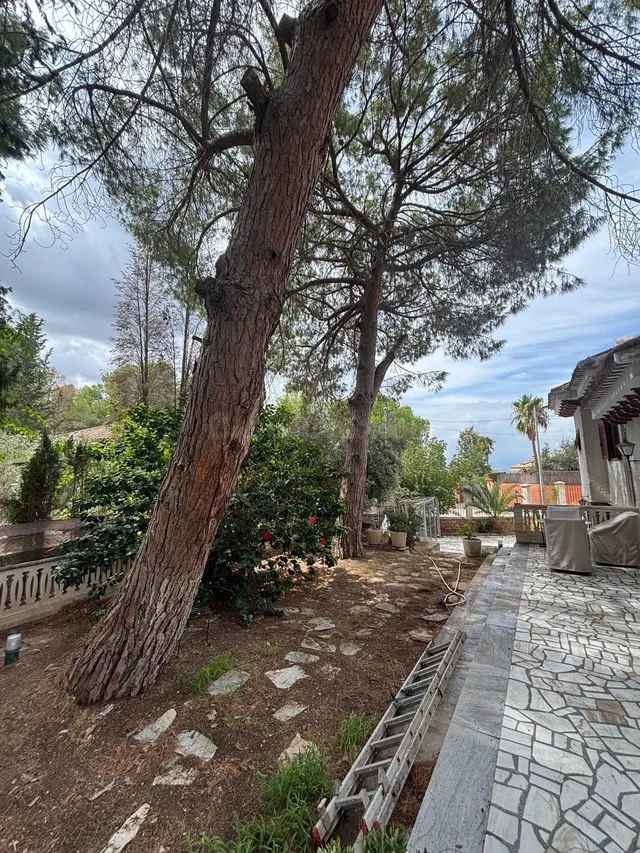 Chalet exclusivo con piscina cubierta de cristal y más de 300 m2 en urbanización Los Teatinos — 2