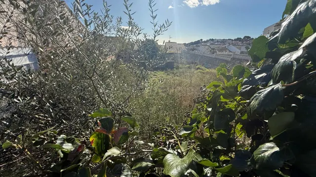 SE VENDE TERRENO URBANO EN CREIXELL, URBANIZACIÓN EL RACO DE - foto 2