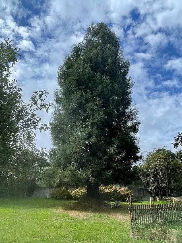 San Isidro. Finca 5.600M con Vivienda familiar — 33