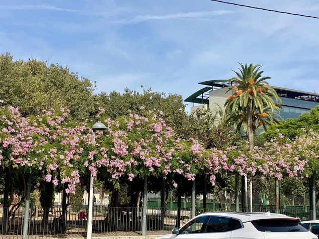 PISO EXTERIOR JUNTO A LOS JARDINES DEL TURIA — 22