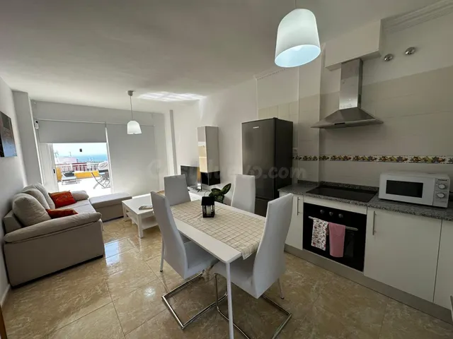 ÁTICO DE 1 DORMITORIO EN BUENAVISTA DEL NORTE - foto 2