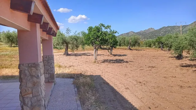 Parcela de 1 hectarea con chalet nuevo de 150 m2 en Arroyomo - foto 5