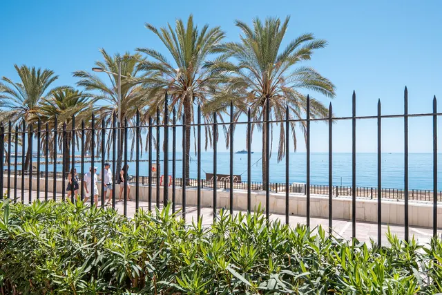 Apartamento 1 habitación 56m² en venta - Marbella — 13