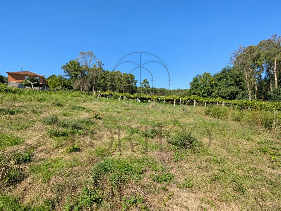 952 m2 para construir la casa que llevas tiempo imaginando