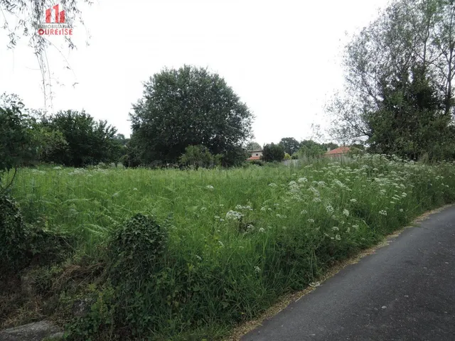 FINCA URBANIZABLE PRÓXIMA A BÓVEDA — 2