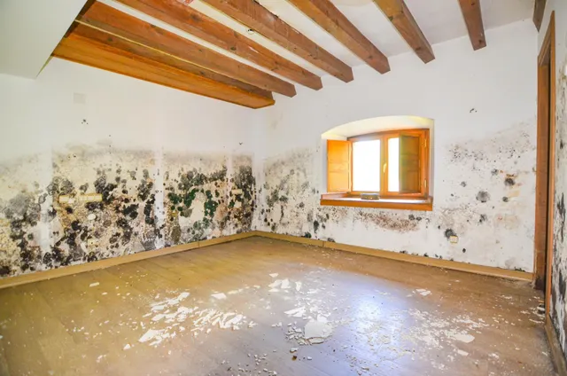 Urbis te ofrece un edificio, en venta en la Moretona, Ciudad Rodrigo, Salamanca. — 30