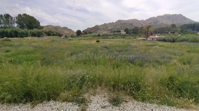 Parcela en venta - Calasparra - foto 2