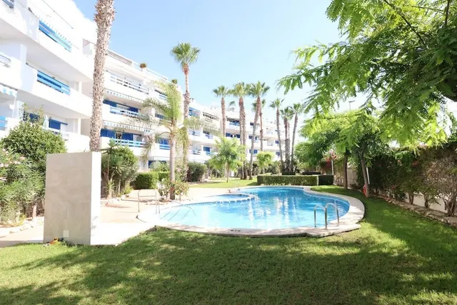 Apartamento en alquiler en Playa Flamenca. Residencial La Ca - foto 2