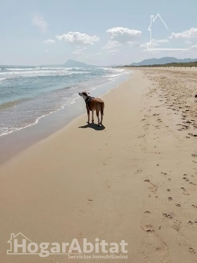 ¡Cerca de la playa! Gran adosado luminoso con dos viviendas independientes, piscina y terraza — 28