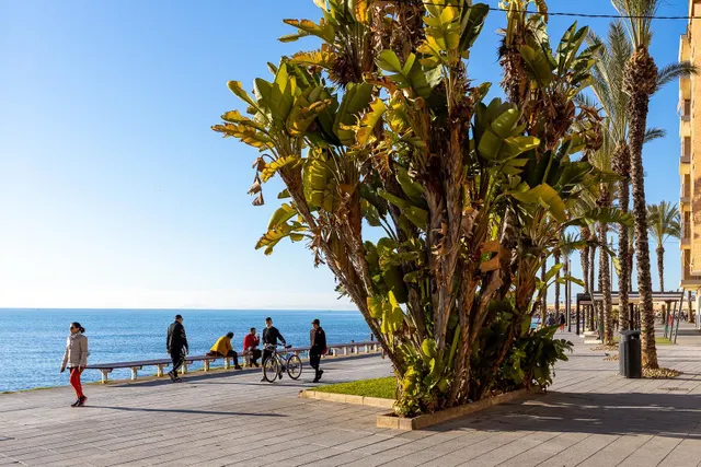 BAR / RESTAURANTE EN VENTA EN TORREVIEJA, ZONA PLAYA DEL CURA — 44
