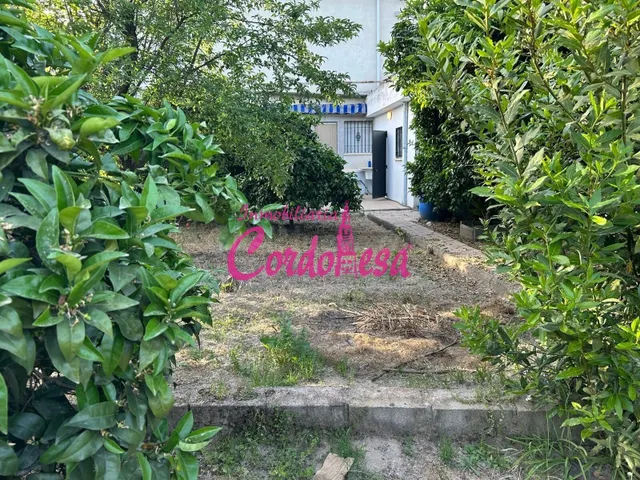 MAGNIFICA CHALET INDEPENDIENTE EN ALCOLEA, CON ZONA DE JARDI - foto 5