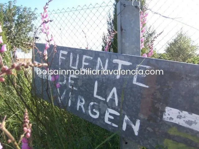 Terreno rural 8000m² en venta - La Raiosa — 4