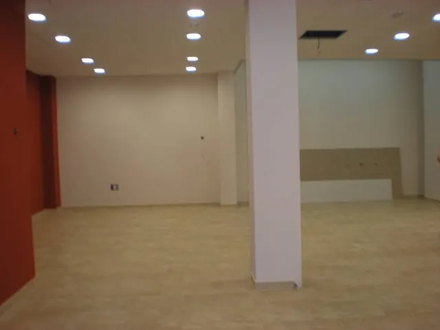 local comercial totalmente nuevo, preparado para instalar cualquier negocio junto a la playa — 4