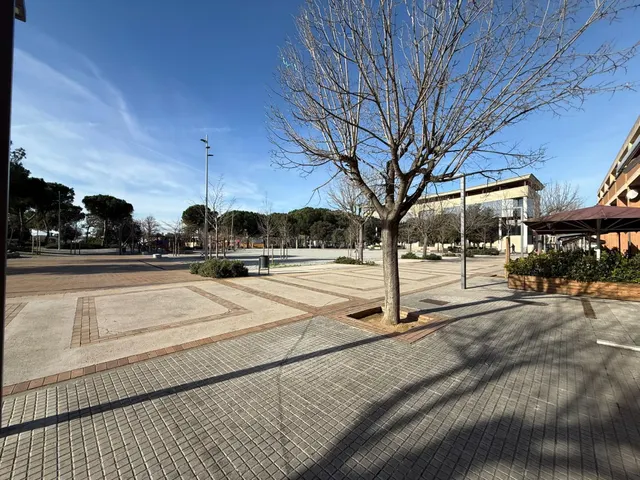 LOCAL EN VENTA O NEGOCIO EN TRASPASO Y ALQUILER EN EL CENTRO - foto 5